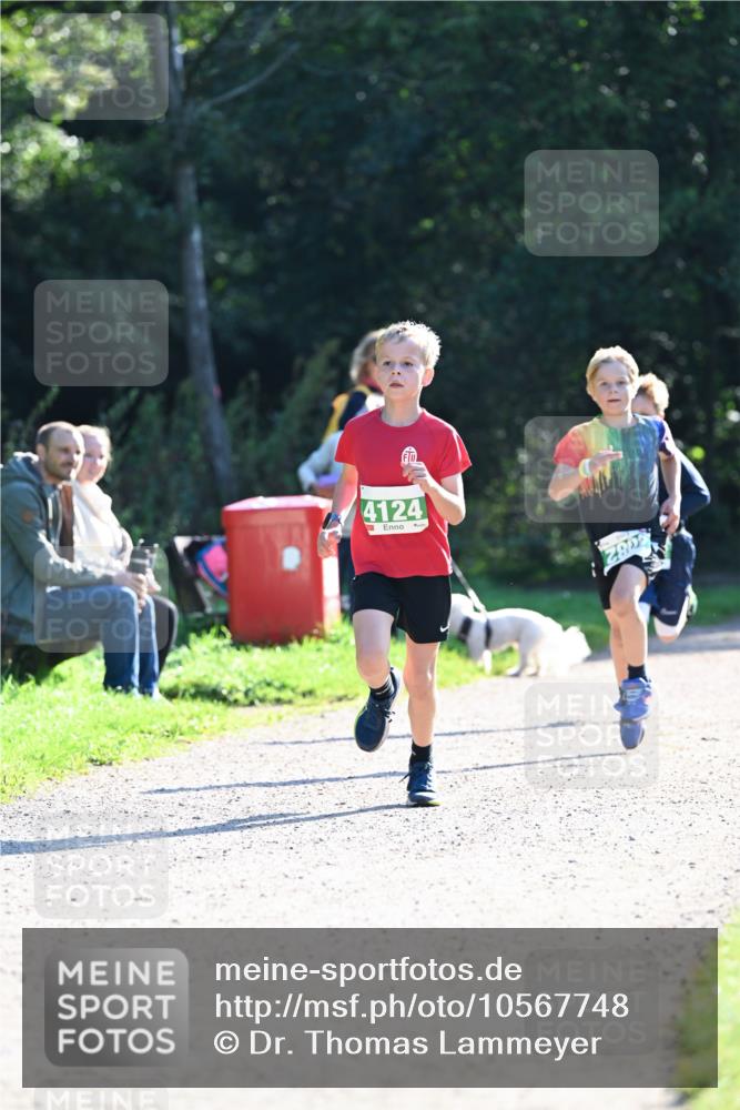 27.09.2026 - 35. Volkslauf durch das schöne Alstertal Dr. Thomas Lammeyer http://msf.ph/oto/10567748 27.09.2026 10:48:20 Laufen 4124 meine-sportfotos.de