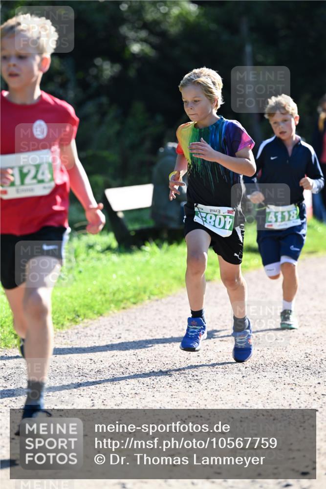 27.09.2026 - 35. Volkslauf durch das schöne Alstertal Dr. Thomas Lammeyer http://msf.ph/oto/10567759 27.09.2026 10:48:23 Laufen 124, 408, 4118 meine-sportfotos.de