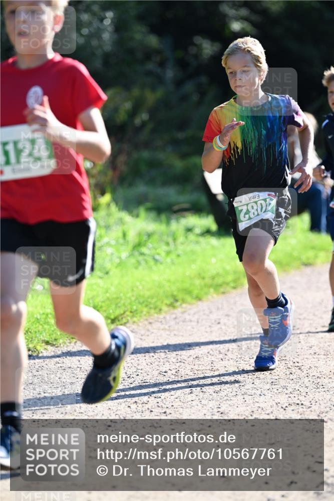 27.09.2026 - 35. Volkslauf durch das schöne Alstertal Dr. Thomas Lammeyer http://msf.ph/oto/10567761 27.09.2026 10:48:23 Laufen 4082 meine-sportfotos.de