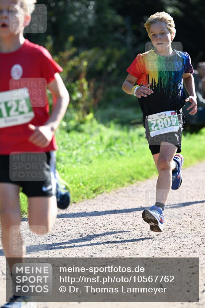 27.09.2026 - 35. Volkslauf durch das schöne Alstertal Dr. Thomas Lammeyer http://msf.ph/oto/10567762 27.09.2026 10:48:23 Laufen 4082, 721 meine-sportfotos.de