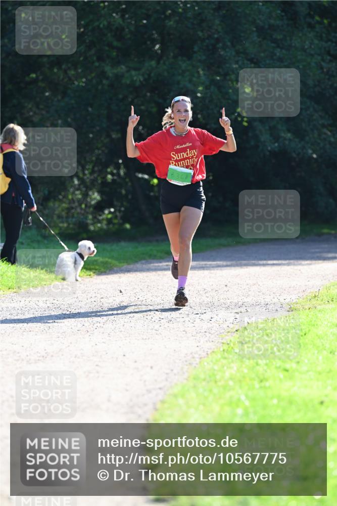 27.09.2026 - 35. Volkslauf durch das schöne Alstertal Dr. Thomas Lammeyer http://msf.ph/oto/10567775 27.09.2026 10:48:34 Laufen 3681 meine-sportfotos.de