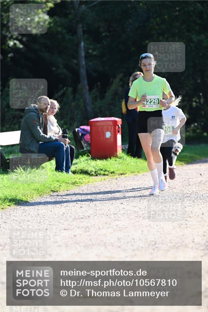 27.09.2026 - 34. Volkslauf durch das schöne Alstertal Dr. Thomas Lammeyer http://msf.ph/oto/10567810 27.09.2026 10:48:43 Laufen 229, 208 meine-sportfotos.de