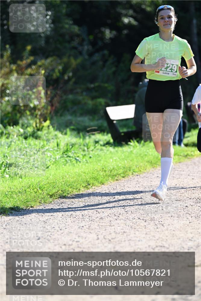 27.09.2026 - 35. Volkslauf durch das schöne Alstertal Dr. Thomas Lammeyer http://msf.ph/oto/10567821 27.09.2026 10:48:45 Laufen 229 meine-sportfotos.de