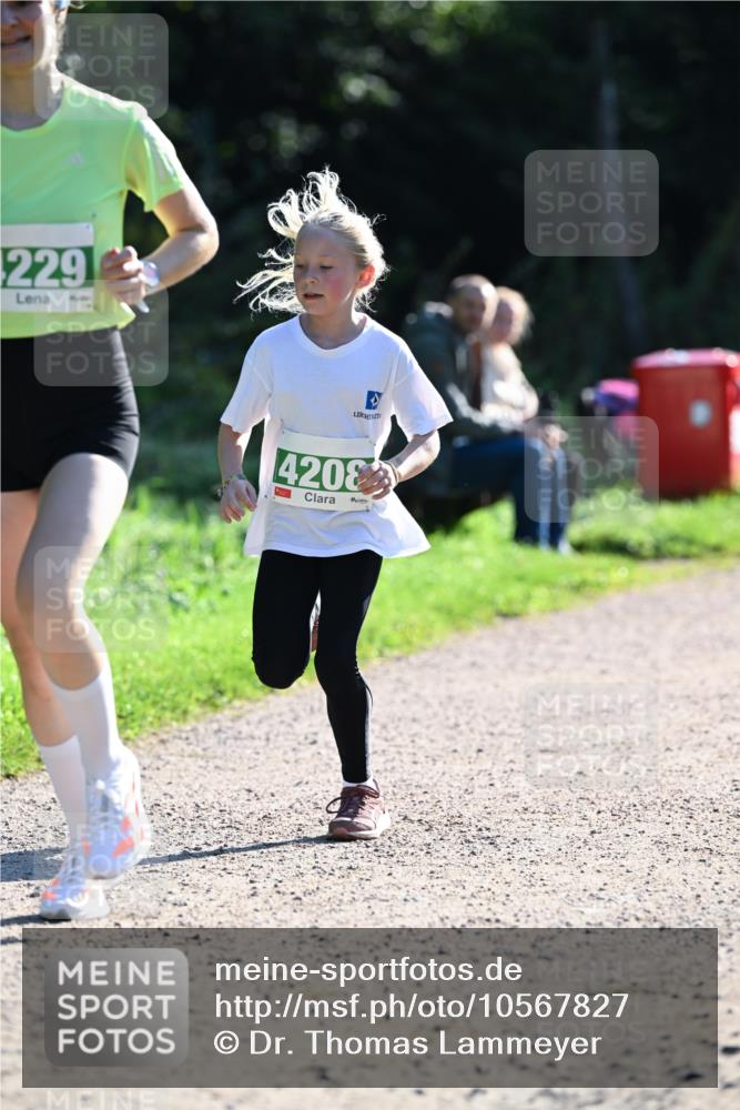 27.09.2026 - 35. Volkslauf durch das schöne Alstertal Dr. Thomas Lammeyer http://msf.ph/oto/10567827 27.09.2026 10:48:46 Laufen 229, 4208 meine-sportfotos.de