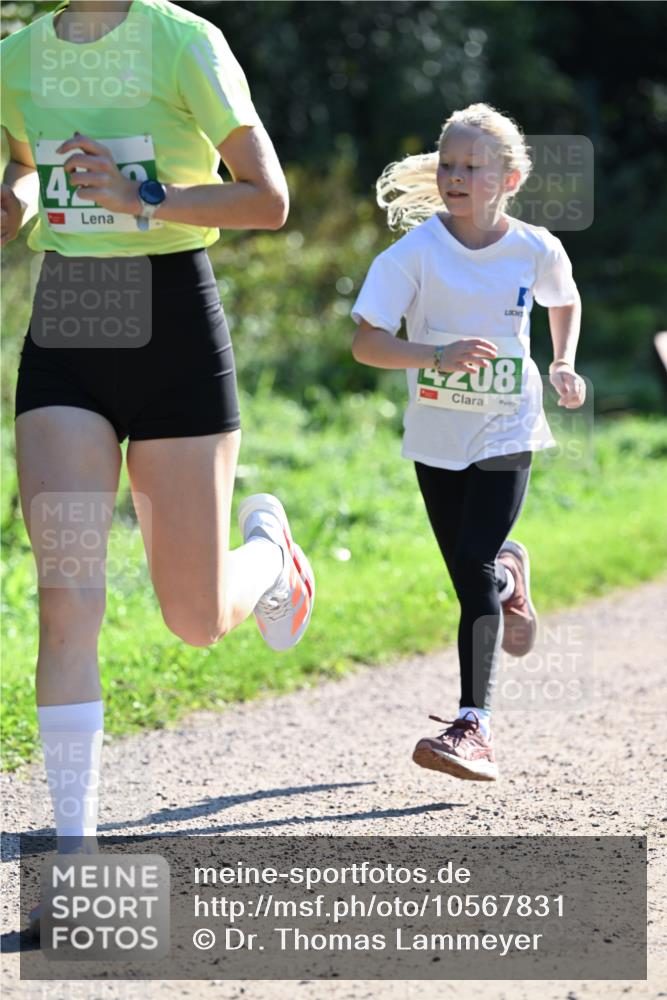 27.09.2026 - 35. Volkslauf durch das schöne Alstertal Dr. Thomas Lammeyer http://msf.ph/oto/10567831 27.09.2026 10:48:47 Laufen 4, 208 meine-sportfotos.de