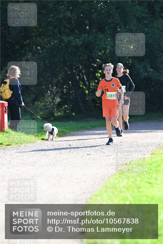 27.09.2026 - 35. Volkslauf durch das schöne Alstertal Dr. Thomas Lammeyer http://msf.ph/oto/10567838 27.09.2026 10:49:02 Laufen 4133 meine-sportfotos.de