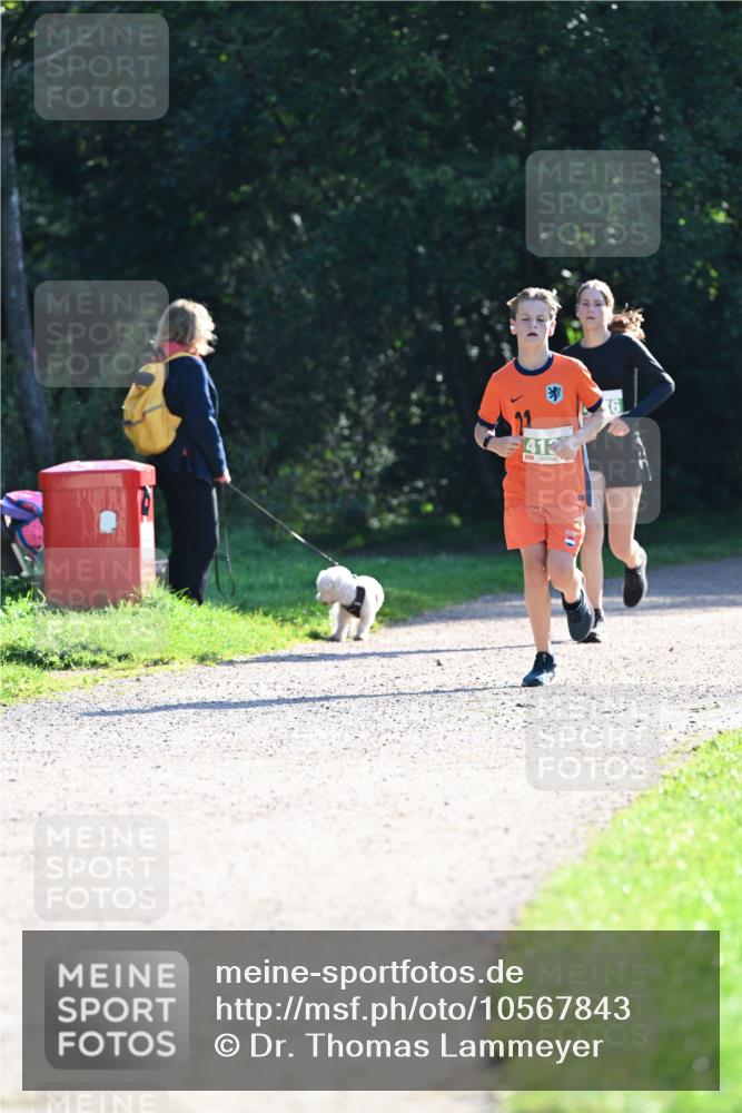 27.09.2026 - 35. Volkslauf durch das schöne Alstertal Dr. Thomas Lammeyer http://msf.ph/oto/10567843 27.09.2026 10:49:02 Laufen 412 meine-sportfotos.de