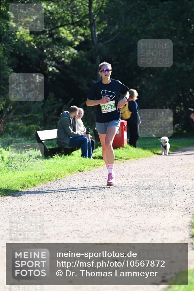 27.09.2026 - 34. Volkslauf durch das schöne Alstertal Dr. Thomas Lammeyer http://msf.ph/oto/10567872 27.09.2026 10:49:12 Laufen 4957 meine-sportfotos.de