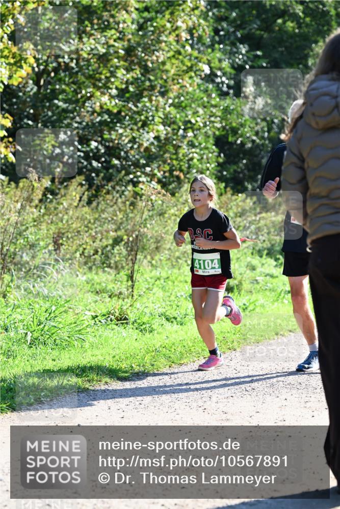 27.09.2026 - 35. Volkslauf durch das schöne Alstertal Dr. Thomas Lammeyer http://msf.ph/oto/10567891 27.09.2026 10:49:19 Laufen 4104 meine-sportfotos.de