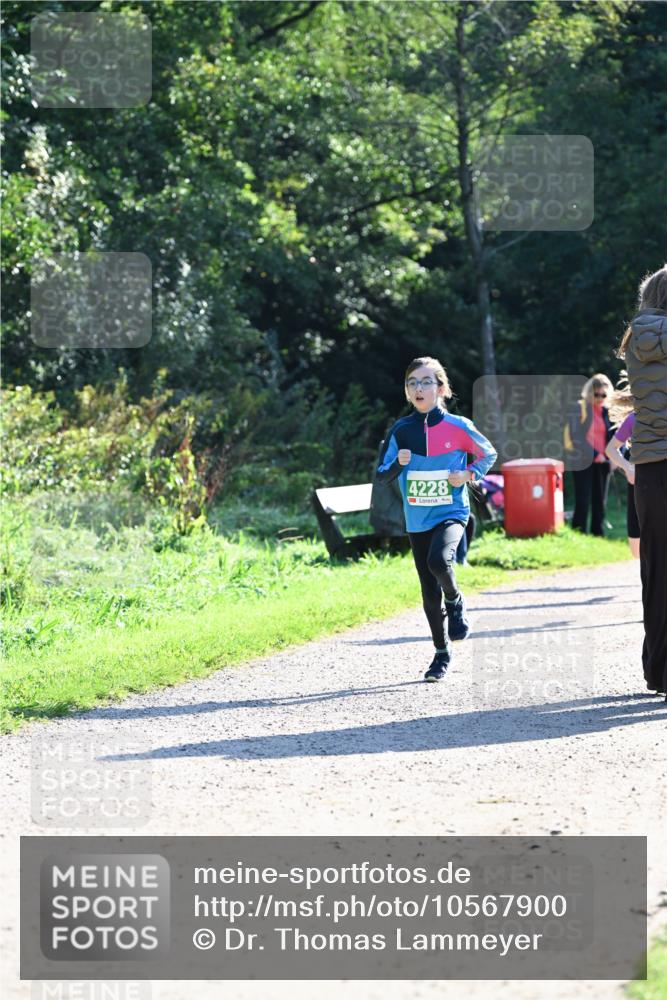 27.09.2026 - 34. Volkslauf durch das schöne Alstertal Dr. Thomas Lammeyer http://msf.ph/oto/10567900 27.09.2026 10:49:26 Laufen 4228 meine-sportfotos.de