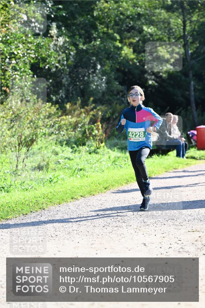 27.09.2026 - 34. Volkslauf durch das schöne Alstertal Dr. Thomas Lammeyer http://msf.ph/oto/10567905 27.09.2026 10:49:27 Laufen 4228 meine-sportfotos.de