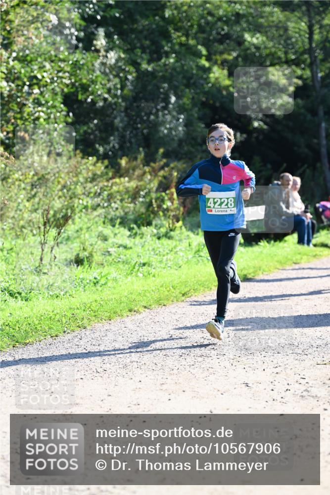 27.09.2026 - 35. Volkslauf durch das schöne Alstertal Dr. Thomas Lammeyer http://msf.ph/oto/10567906 27.09.2026 10:49:27 Laufen 4228 meine-sportfotos.de
