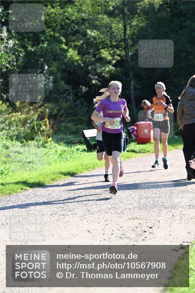 27.09.2026 - 35. Volkslauf durch das schöne Alstertal Dr. Thomas Lammeyer http://msf.ph/oto/10567908 27.09.2026 10:49:28 Laufen 06, 4139 meine-sportfotos.de