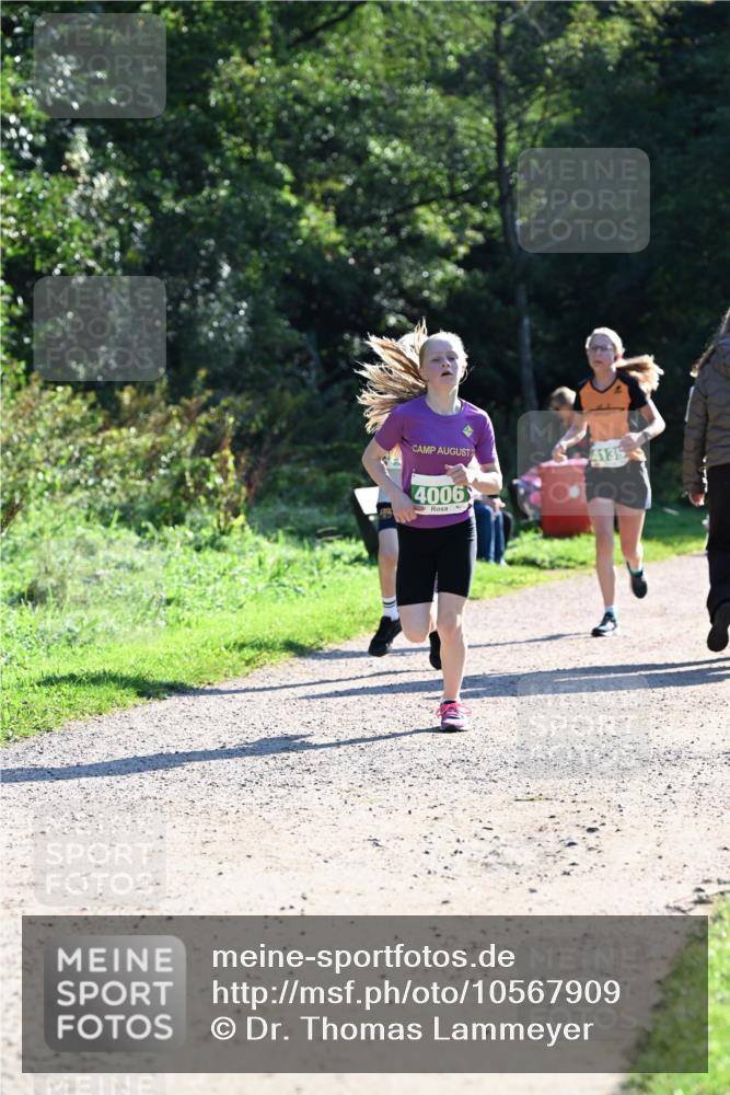 27.09.2026 - 35. Volkslauf durch das schöne Alstertal Dr. Thomas Lammeyer http://msf.ph/oto/10567909 27.09.2026 10:49:28 Laufen 4006, 4135 meine-sportfotos.de