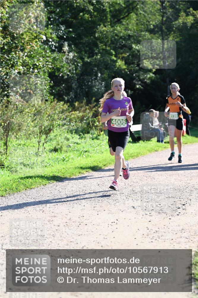 27.09.2026 - 34. Volkslauf durch das schöne Alstertal Dr. Thomas Lammeyer http://msf.ph/oto/10567913 27.09.2026 10:49:29 Laufen 4006, 4139 meine-sportfotos.de