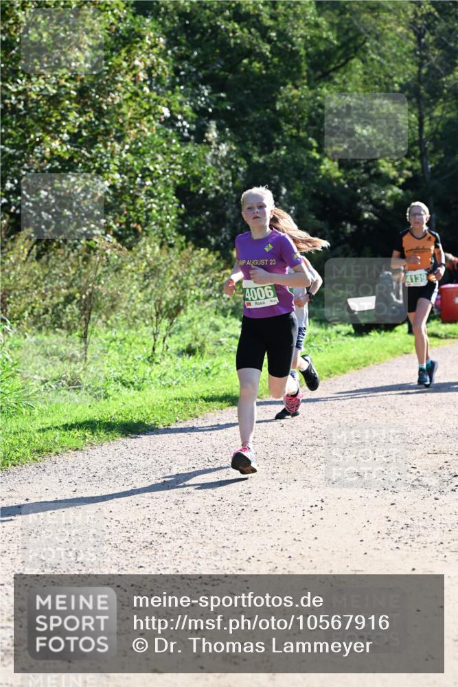 27.09.2026 - 35. Volkslauf durch das schöne Alstertal Dr. Thomas Lammeyer http://msf.ph/oto/10567916 27.09.2026 10:49:29 Laufen 23, 4006, 4139 meine-sportfotos.de