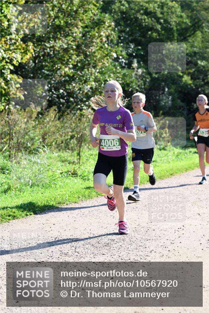 27.09.2026 - 34. Volkslauf durch das schöne Alstertal Dr. Thomas Lammeyer http://msf.ph/oto/10567920 27.09.2026 10:49:30 Laufen 23, 4006, 413 meine-sportfotos.de