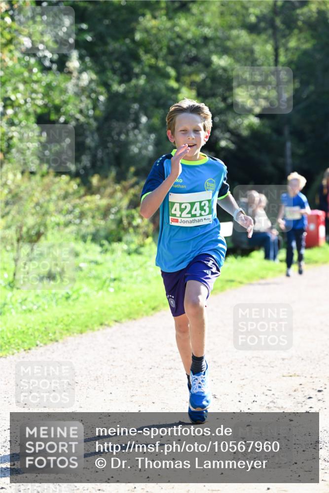 27.09.2026 - 35. Volkslauf durch das schöne Alstertal Dr. Thomas Lammeyer http://msf.ph/oto/10567960 27.09.2026 10:49:54 Laufen 4243 meine-sportfotos.de