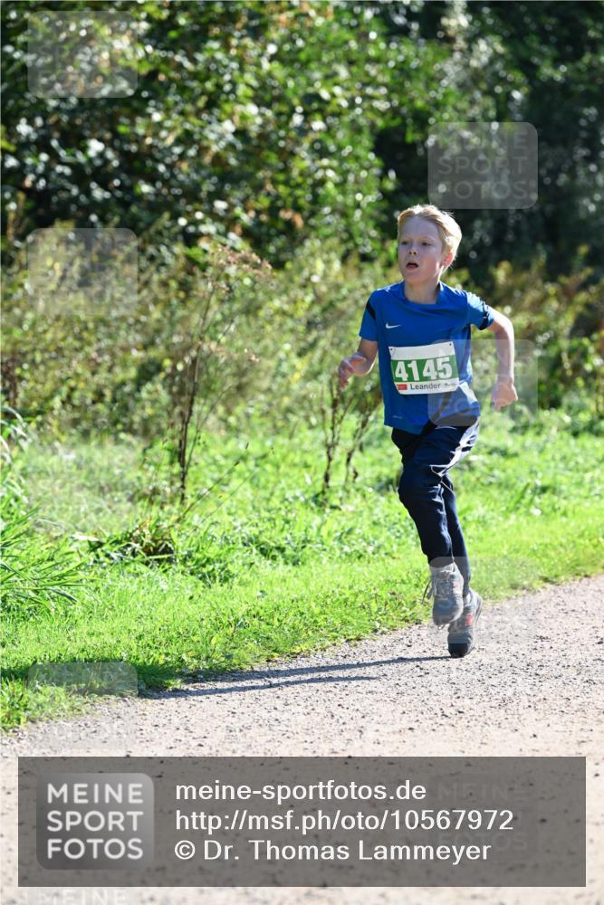 27.09.2026 - 35. Volkslauf durch das schöne Alstertal Dr. Thomas Lammeyer http://msf.ph/oto/10567972 27.09.2026 10:49:56 Laufen 4145 meine-sportfotos.de