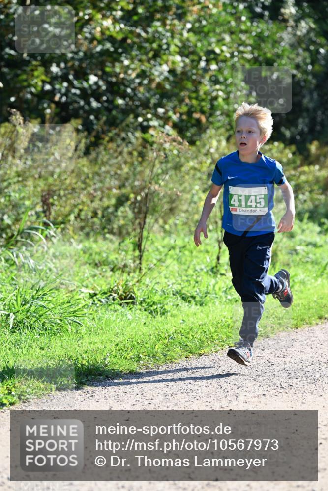 27.09.2026 - 35. Volkslauf durch das schöne Alstertal Dr. Thomas Lammeyer http://msf.ph/oto/10567973 27.09.2026 10:49:57 Laufen 4145 meine-sportfotos.de