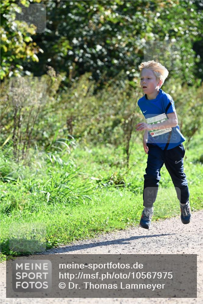 27.09.2026 - 35. Volkslauf durch das schöne Alstertal Dr. Thomas Lammeyer http://msf.ph/oto/10567975 27.09.2026 10:49:57 Laufen  meine-sportfotos.de