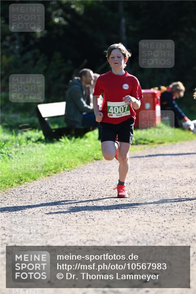 27.09.2026 - 35. Volkslauf durch das schöne Alstertal Dr. Thomas Lammeyer http://msf.ph/oto/10567983 27.09.2026 10:50:07 Laufen 4007 meine-sportfotos.de