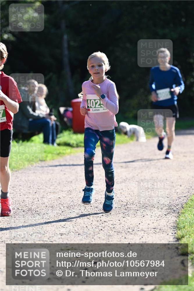 27.09.2026 - 35. Volkslauf durch das schöne Alstertal Dr. Thomas Lammeyer http://msf.ph/oto/10567984 27.09.2026 10:50:08 Laufen 4025 meine-sportfotos.de