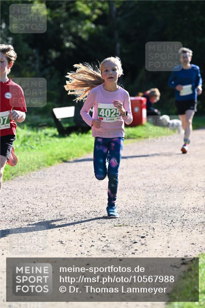 27.09.2026 - 35. Volkslauf durch das schöne Alstertal Dr. Thomas Lammeyer http://msf.ph/oto/10567988 27.09.2026 10:50:09 Laufen 07, 4025 meine-sportfotos.de