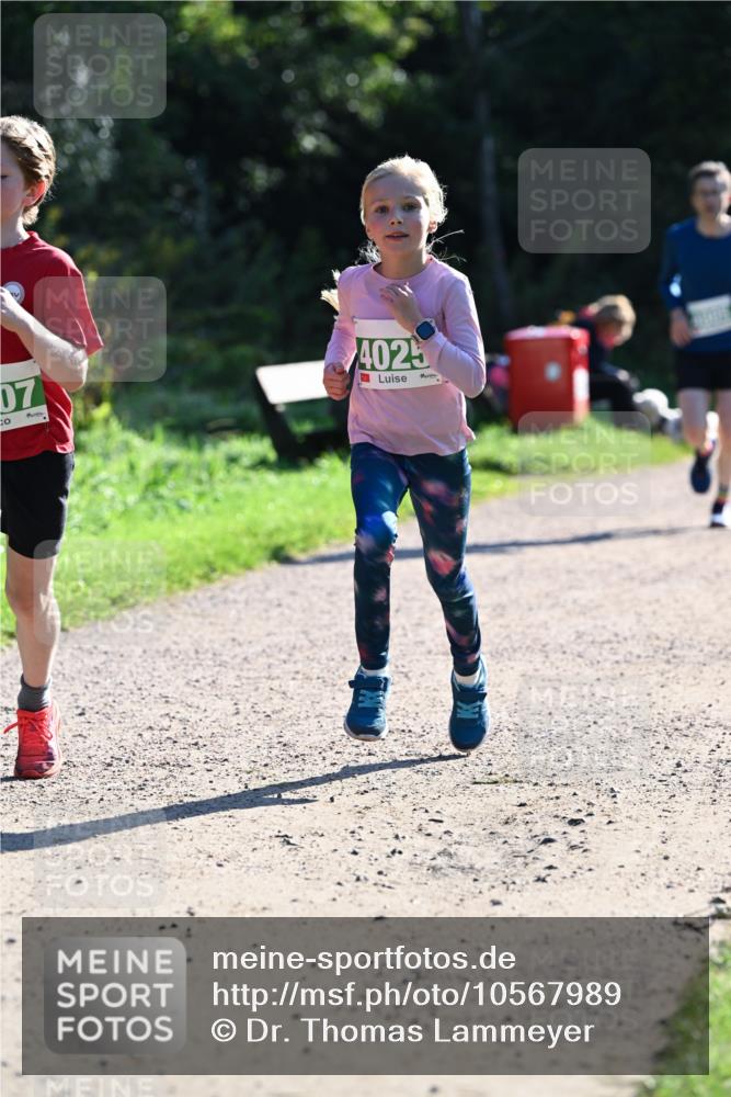 27.09.2026 - 35. Volkslauf durch das schöne Alstertal Dr. Thomas Lammeyer http://msf.ph/oto/10567989 27.09.2026 10:50:09 Laufen 07, 4025 meine-sportfotos.de