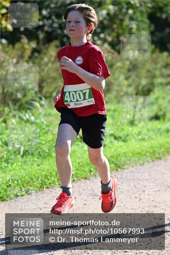 27.09.2026 - 35. Volkslauf durch das schöne Alstertal Dr. Thomas Lammeyer http://msf.ph/oto/10567993 27.09.2026 10:50:10 Laufen 4007 meine-sportfotos.de