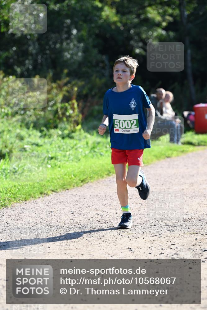 27.09.2026 - 35. Volkslauf durch das schöne Alstertal Dr. Thomas Lammeyer http://msf.ph/oto/10568067 27.09.2026 10:50:34 Laufen 5002 meine-sportfotos.de