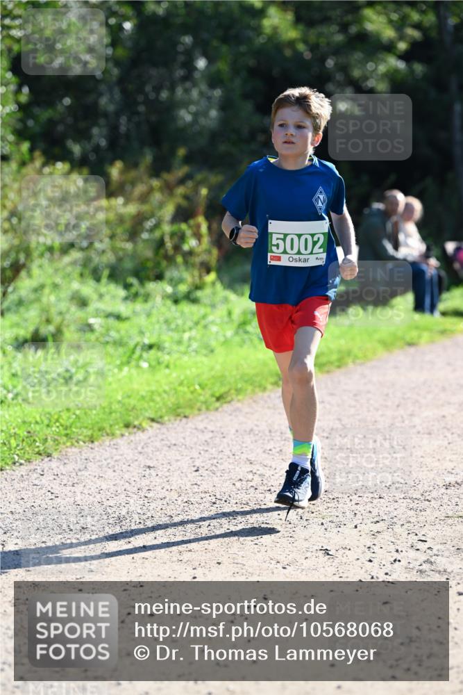 27.09.2026 - 35. Volkslauf durch das schöne Alstertal Dr. Thomas Lammeyer http://msf.ph/oto/10568068 27.09.2026 10:50:35 Laufen 5002 meine-sportfotos.de