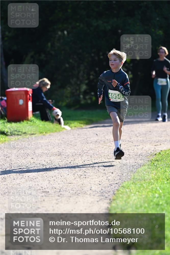 27.09.2026 - 35. Volkslauf durch das schöne Alstertal Dr. Thomas Lammeyer http://msf.ph/oto/10568100 27.09.2026 10:50:52 Laufen 4956 meine-sportfotos.de