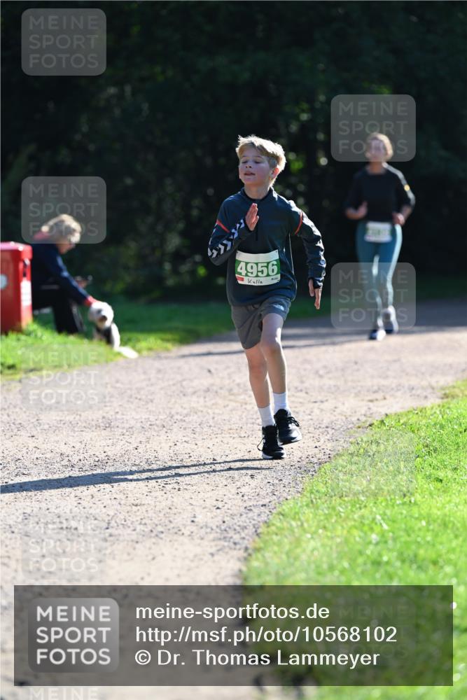 27.09.2026 - 35. Volkslauf durch das schöne Alstertal Dr. Thomas Lammeyer http://msf.ph/oto/10568102 27.09.2026 10:50:53 Laufen 4956 meine-sportfotos.de