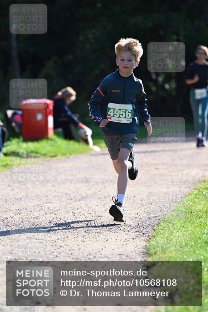 27.09.2026 - 35. Volkslauf durch das schöne Alstertal Dr. Thomas Lammeyer http://msf.ph/oto/10568108 27.09.2026 10:50:54 Laufen 4956 meine-sportfotos.de