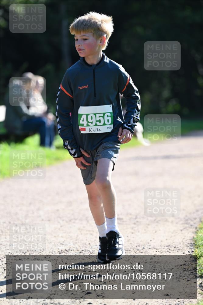 27.09.2026 - 35. Volkslauf durch das schöne Alstertal Dr. Thomas Lammeyer http://msf.ph/oto/10568117 27.09.2026 10:50:55 Laufen 4956 meine-sportfotos.de