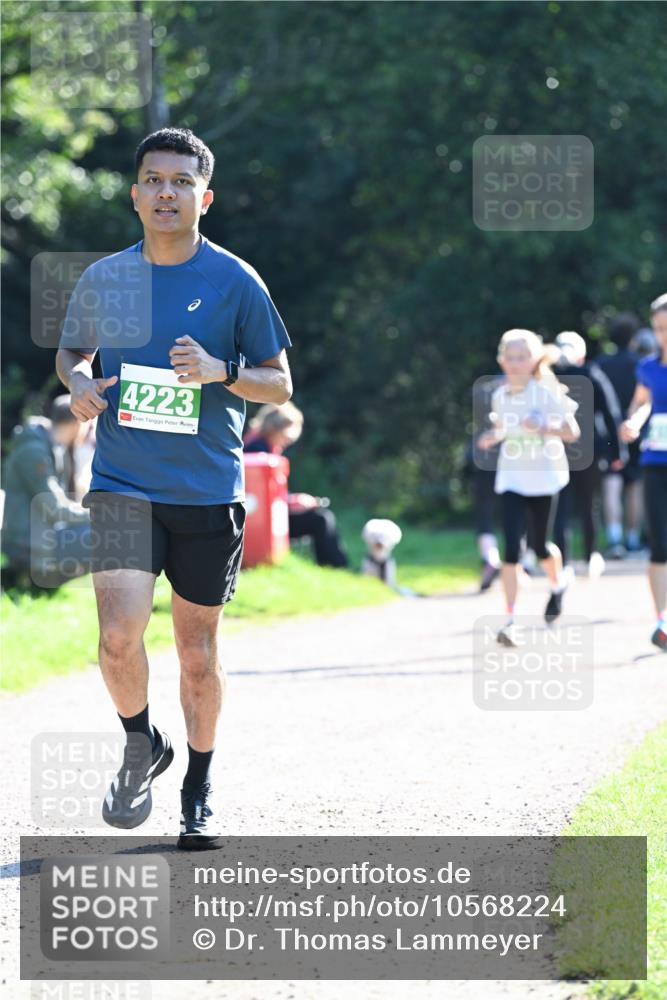 27.09.2026 - 35. Volkslauf durch das schöne Alstertal Dr. Thomas Lammeyer http://msf.ph/oto/10568224 27.09.2026 10:51:22 Laufen 4223 meine-sportfotos.de
