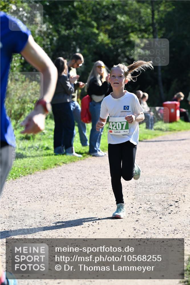 27.09.2026 - 35. Volkslauf durch das schöne Alstertal Dr. Thomas Lammeyer http://msf.ph/oto/10568255 27.09.2026 10:51:28 Laufen 4207 meine-sportfotos.de