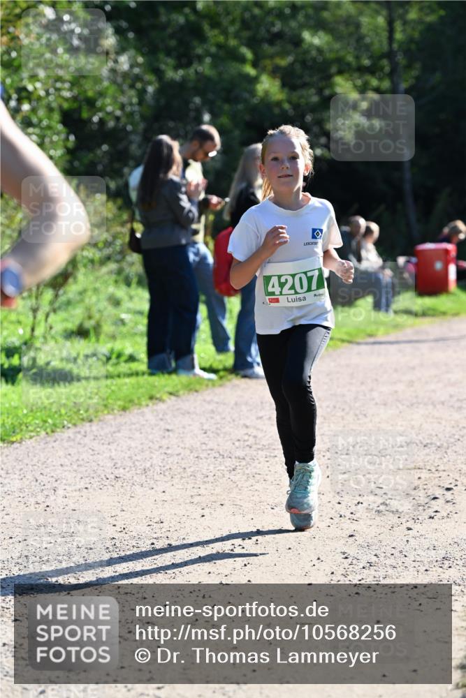 27.09.2026 - 35. Volkslauf durch das schöne Alstertal Dr. Thomas Lammeyer http://msf.ph/oto/10568256 27.09.2026 10:51:28 Laufen 4207 meine-sportfotos.de