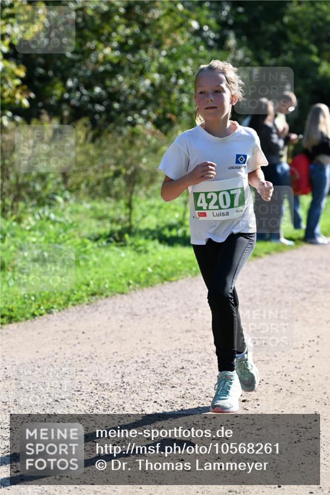 27.09.2026 - 35. Volkslauf durch das schöne Alstertal Dr. Thomas Lammeyer http://msf.ph/oto/10568261 27.09.2026 10:51:28 Laufen 4207 meine-sportfotos.de