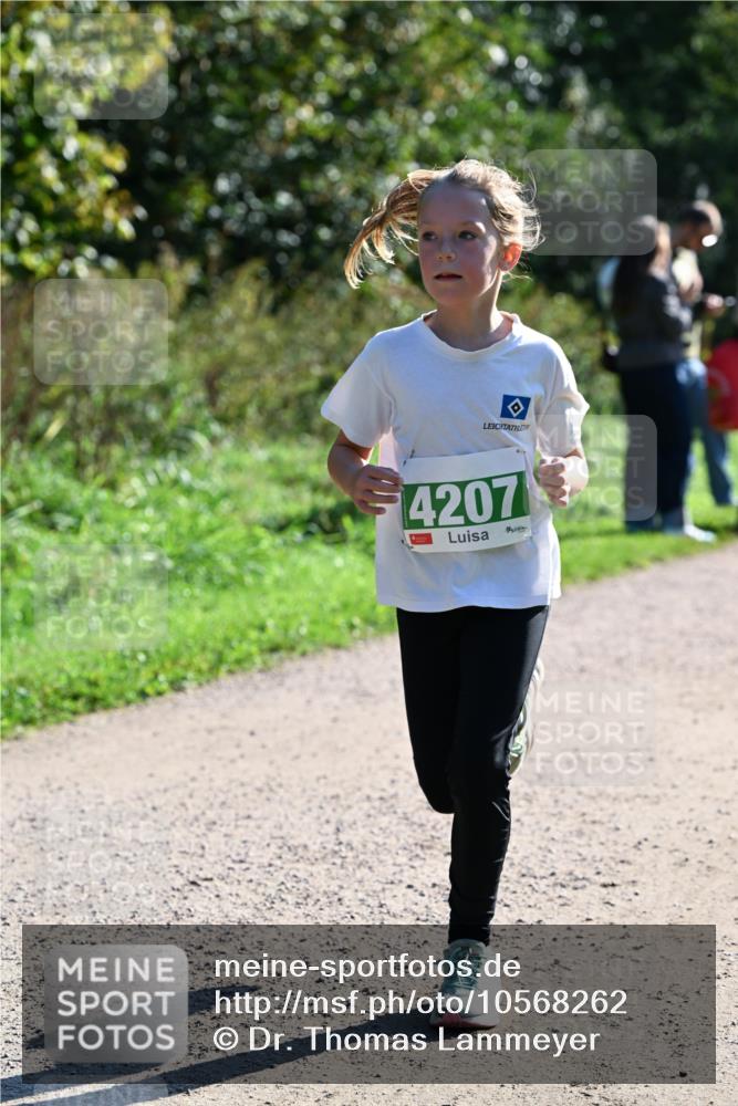 27.09.2026 - 35. Volkslauf durch das schöne Alstertal Dr. Thomas Lammeyer http://msf.ph/oto/10568262 27.09.2026 10:51:29 Laufen 4207 meine-sportfotos.de