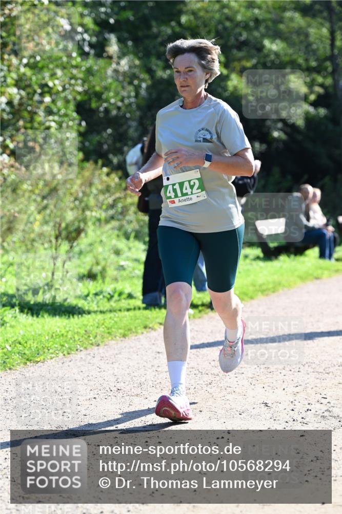 27.09.2026 - 35. Volkslauf durch das schöne Alstertal Dr. Thomas Lammeyer http://msf.ph/oto/10568294 27.09.2026 10:51:36 Laufen 2026, 4142 meine-sportfotos.de