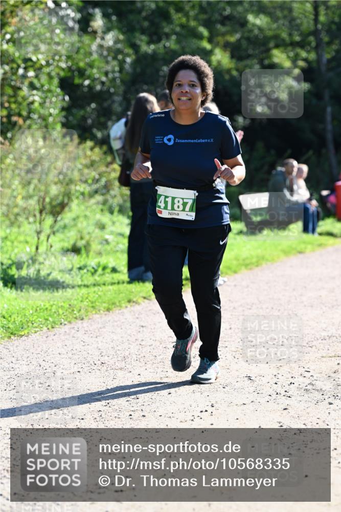27.09.2026 - 35. Volkslauf durch das schöne Alstertal Dr. Thomas Lammeyer http://msf.ph/oto/10568335 27.09.2026 10:51:49 Laufen 4187 meine-sportfotos.de