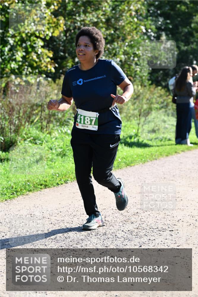 27.09.2026 - 35. Volkslauf durch das schöne Alstertal Dr. Thomas Lammeyer http://msf.ph/oto/10568342 27.09.2026 10:51:49 Laufen 4187 meine-sportfotos.de
