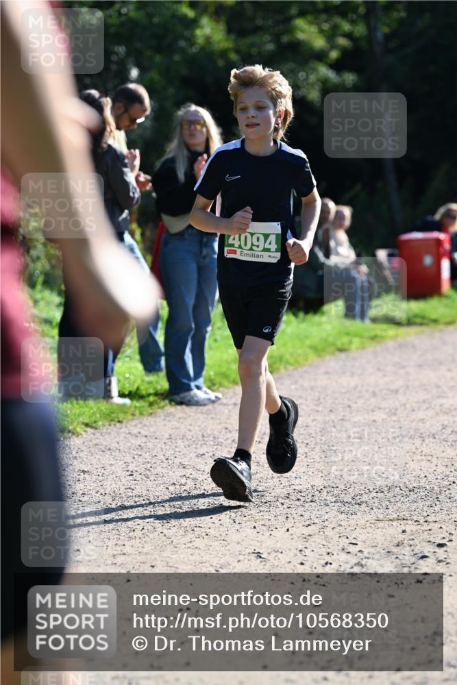 27.09.2026 - 35. Volkslauf durch das schöne Alstertal Dr. Thomas Lammeyer http://msf.ph/oto/10568350 27.09.2026 10:51:52 Laufen 4094 meine-sportfotos.de