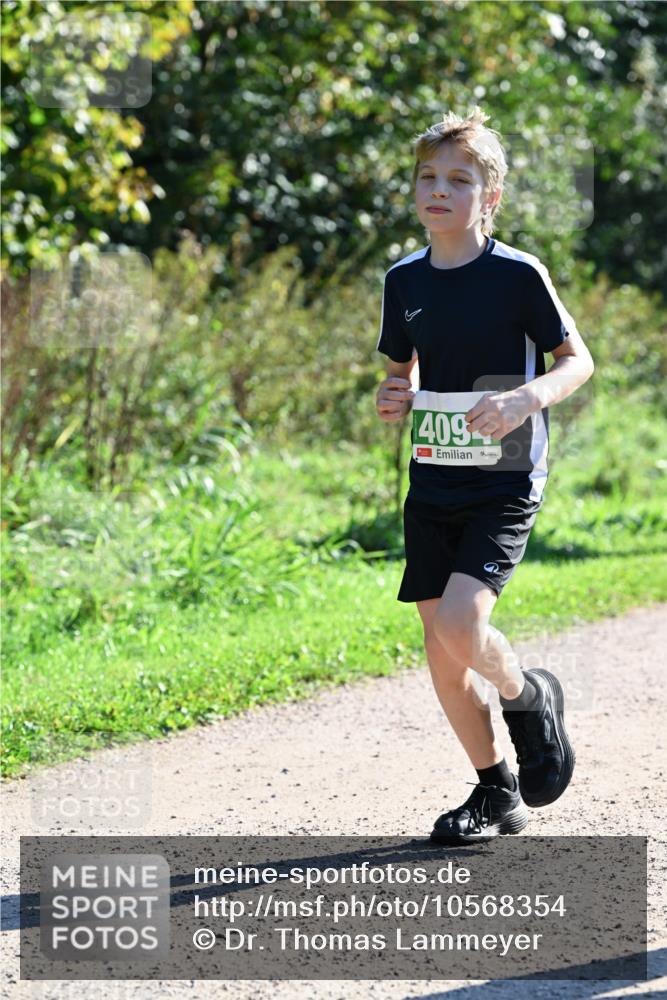 27.09.2026 - 35. Volkslauf durch das schöne Alstertal Dr. Thomas Lammeyer http://msf.ph/oto/10568354 27.09.2026 10:51:53 Laufen 409 meine-sportfotos.de