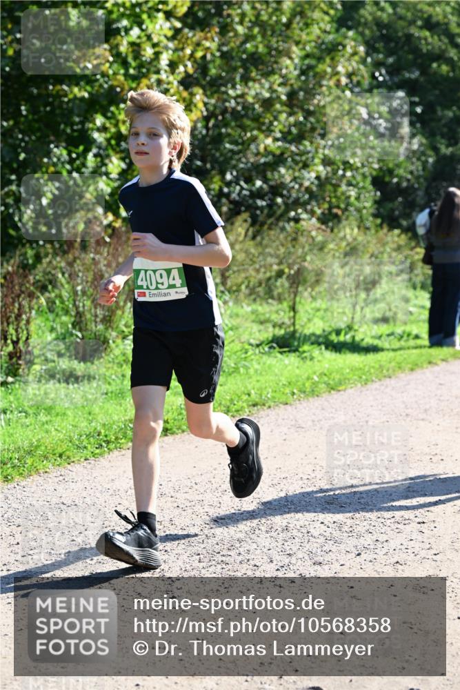 27.09.2026 - 35. Volkslauf durch das schöne Alstertal Dr. Thomas Lammeyer http://msf.ph/oto/10568358 27.09.2026 10:51:54 Laufen 4094 meine-sportfotos.de