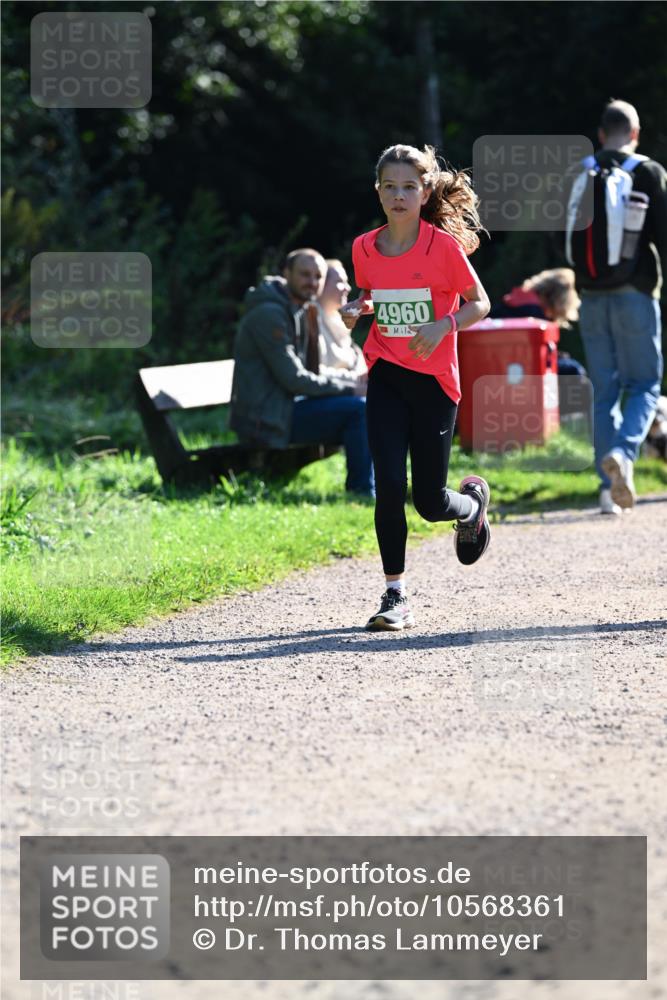 27.09.2026 - 35. Volkslauf durch das schöne Alstertal Dr. Thomas Lammeyer http://msf.ph/oto/10568361 27.09.2026 10:52:18 Laufen 4960 meine-sportfotos.de