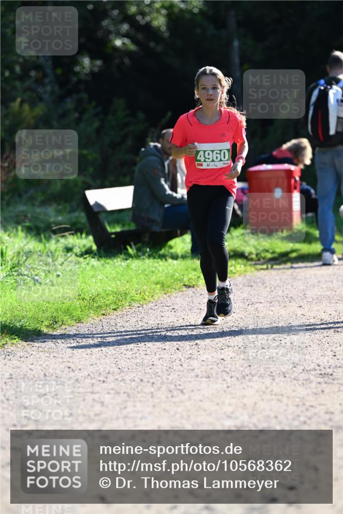 27.09.2026 - 35. Volkslauf durch das schöne Alstertal Dr. Thomas Lammeyer http://msf.ph/oto/10568362 27.09.2026 10:52:18 Laufen 4960 meine-sportfotos.de