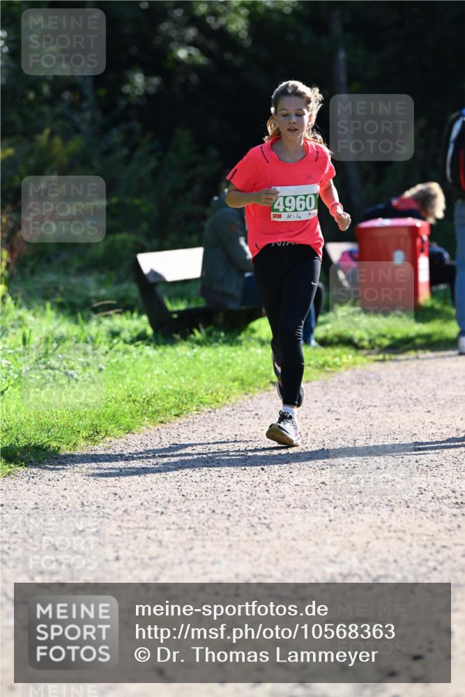 27.09.2026 - 35. Volkslauf durch das schöne Alstertal Dr. Thomas Lammeyer http://msf.ph/oto/10568363 27.09.2026 10:52:19 Laufen 4960 meine-sportfotos.de